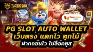pg slot auto wallet เว็บตรง
