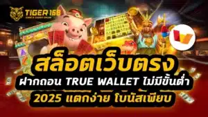 สล็อตเว็บตรง ฝากถอน true wallet ไม่มี ขั้น ต่ํา 2025