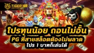 โปร ทุนน้อย ถอนไม่อั้น pg