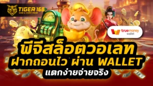 พีจีสล็อตวอเลท ฝากถอนไว ผ่าน wallet